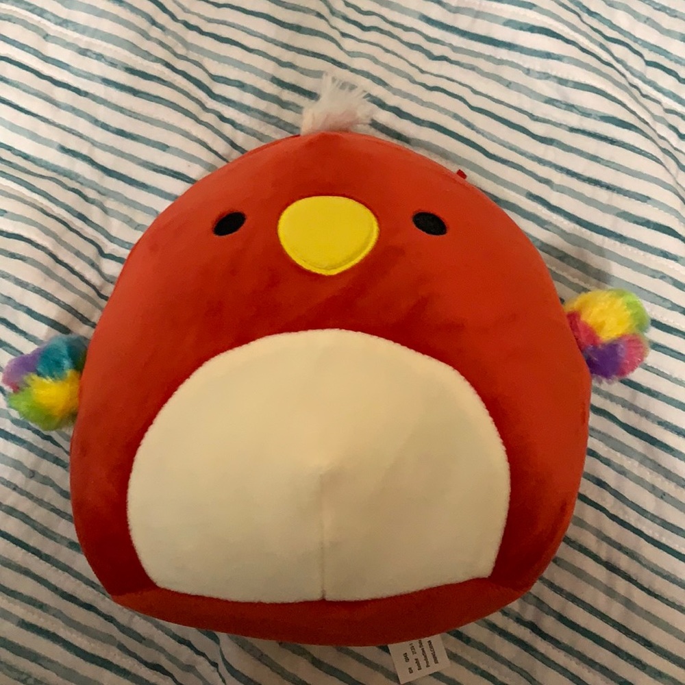 Parrot squishmallow